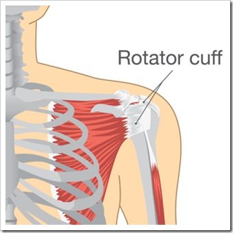 Shoulder Pain Broomall PA Rotator Cuff Injury